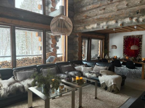 Snowflake - stylish chalet in Levi, Finland